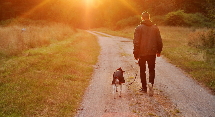 Man and dog at sunset