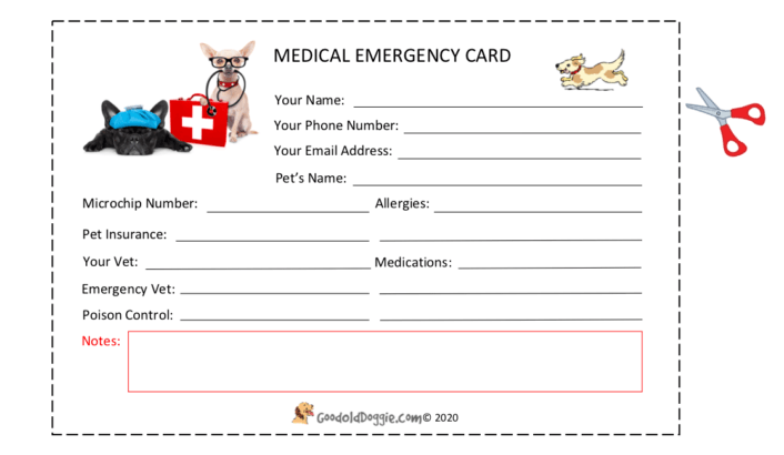 Medical Emergency Card 