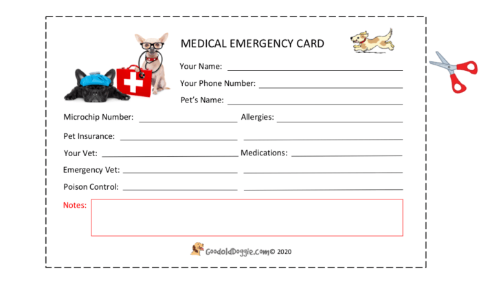Image of Medical Emergency Card