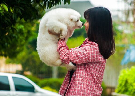 Girl holding fluffy white dog next to car