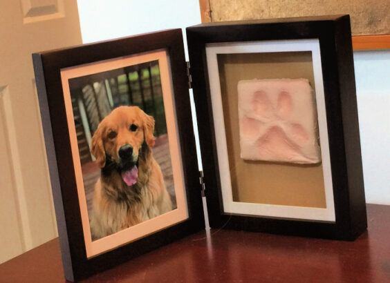 Double frame with Dog photo on left and impression of dog's paw print on the right