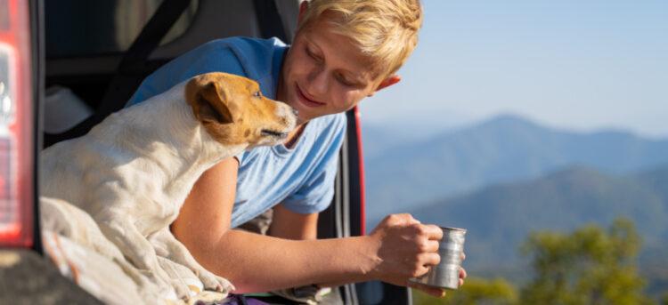 Girl and dog in back of car at mountains