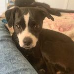 Lucy Lou