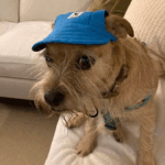 Cooper
